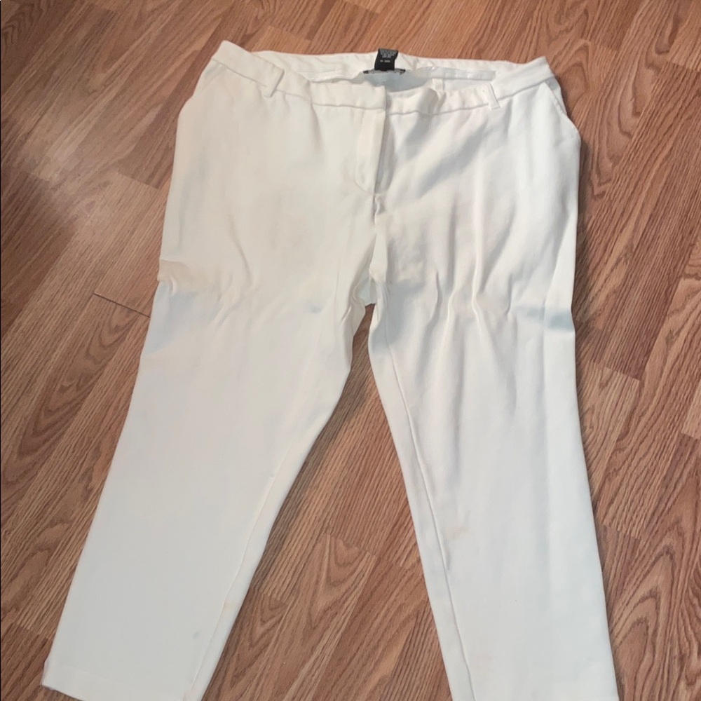 Midnight Velvet Cream Chinos